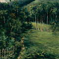 View of the Guaraguao